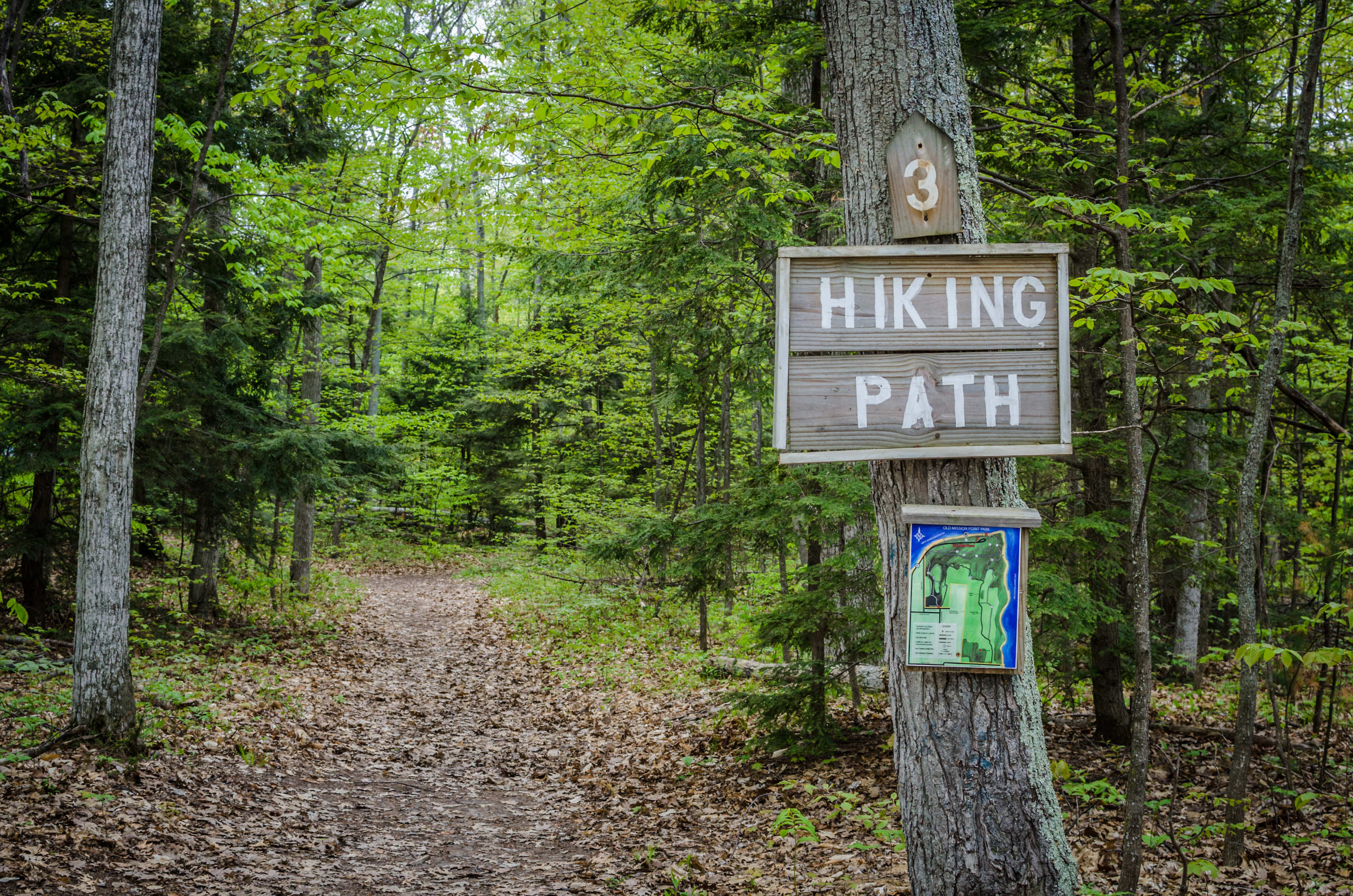 Diabetes & Hiking – How to Plan a Perfect Hiking Trip